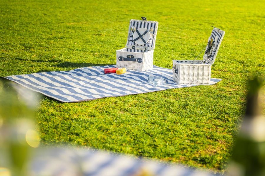 Picknick_Deinze_Foodbart_Picknickkleed_Picknickmand